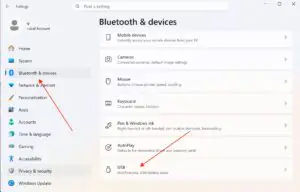 Подключенные устройства в Windows 11